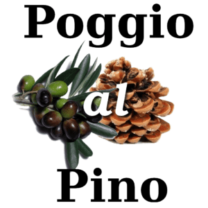 Agriturismo Poggio al Pino Firenze Toscana appartamenti con piscina